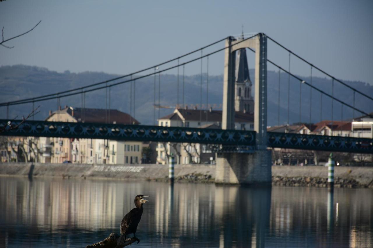 L'Oiseau Bleu Otel Tournon-sur-Rhone Dış mekan fotoğraf