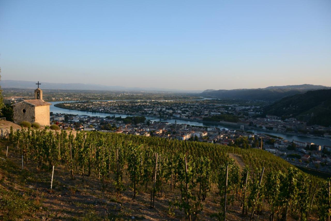 L'Oiseau Bleu Otel Tournon-sur-Rhone Dış mekan fotoğraf