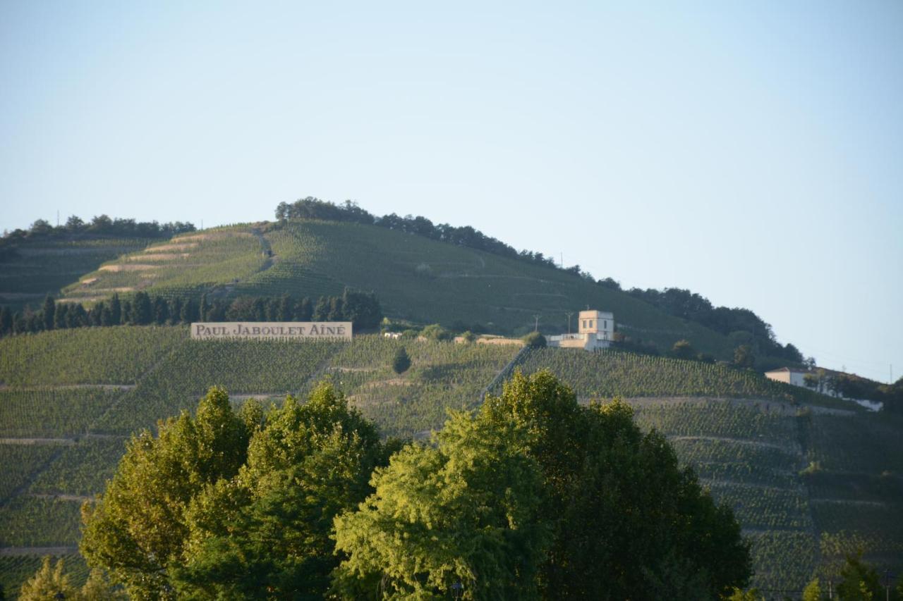 L'Oiseau Bleu Otel Tournon-sur-Rhone Dış mekan fotoğraf